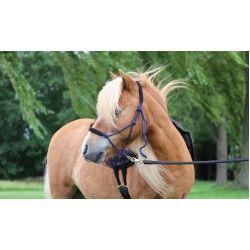 Capal Rope Halter With Leather Nose / Head Protection